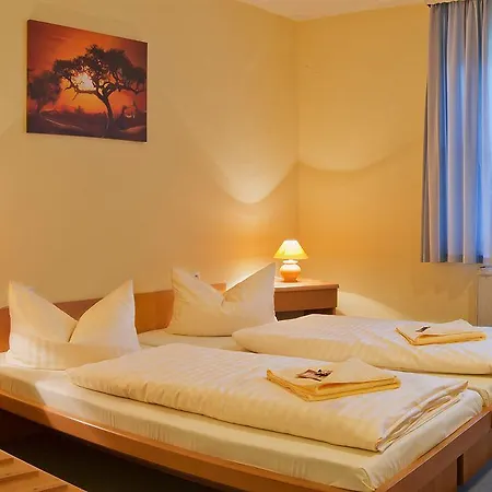 Garni Zwickau-mosel Hotel 3*