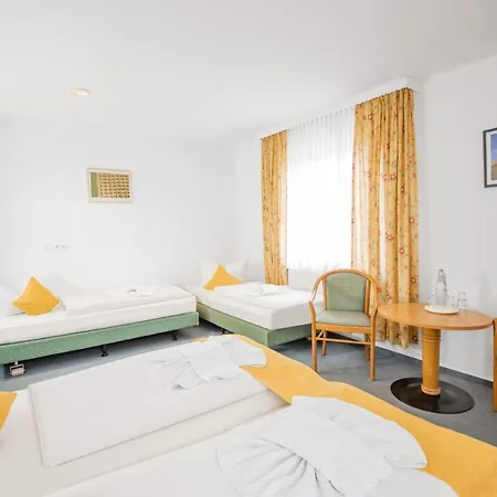 Hotel Garni Zwickau-mosel 3*