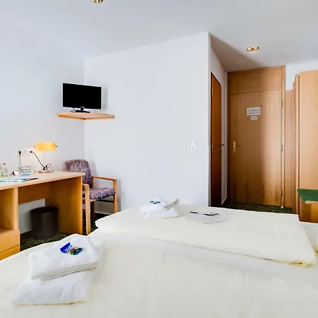 Garni Zwickau-mosel فندق Mülsen