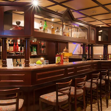 Hotel Garni Zwickau-mosel 3*