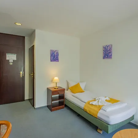 ホテル Garni Zwickau-mosel 3*