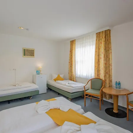 ホテル Garni Zwickau-mosel 3*