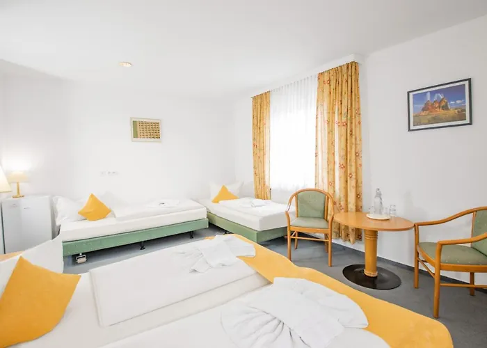 Hotel Garni Zwickau-mosel 3*